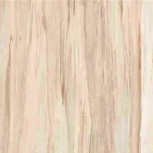 Aquila Floor Tile 300 x 300 #10138 Ceramic Digital Wooden (10pc/0.9sqm Ctn)