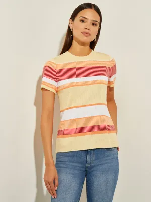 Short Sleeve Intarsia Striped Soft Knit Top